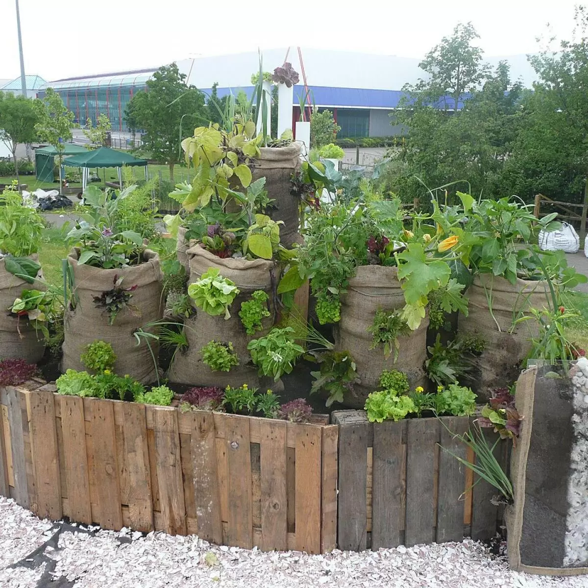 Деревянные бортики грядок: как защитить от гниения и продлить срок службы