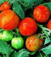 �������� ������ � �������: ��������� ������ � ���������� ��������