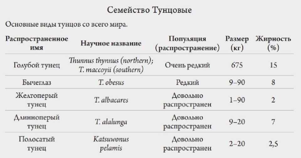 ����� � ��������: ��� ������� ��������