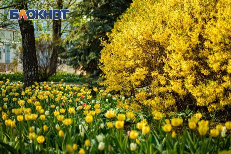 � ������� �������� ����� 243 ��� ������ �� ���������� ������