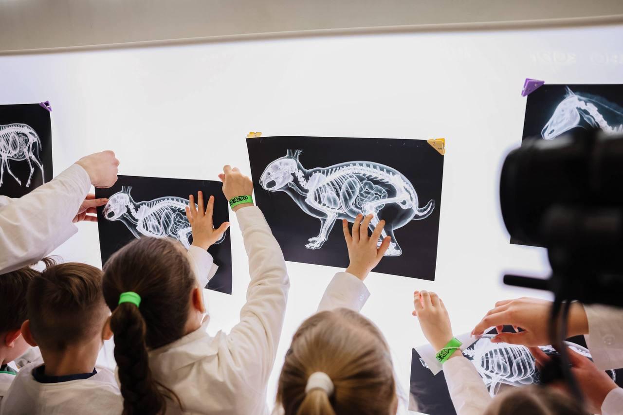 Город профессий АПК «Я в Агро» открывает весенний сезон! Город профессий АПК «Я в Агро» открывает весенний сезон!