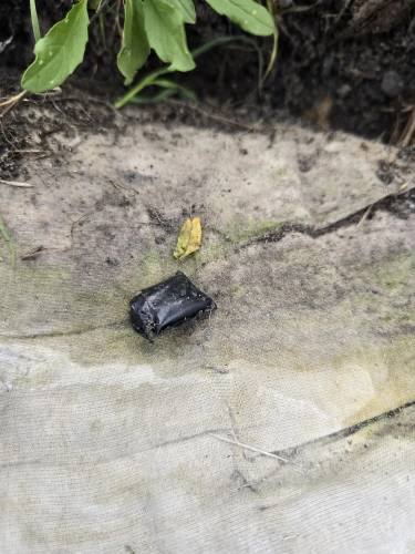 В Ростове-на-Дону правоохранители изъяли более 200 килограммов рыбы и почти 40 килограммов деликатесной икры без документов В Ростове-на-Дону правоохранители изъяли более 200 килограммов рыбы и почти 40 килограммов деликатесной икры без документов