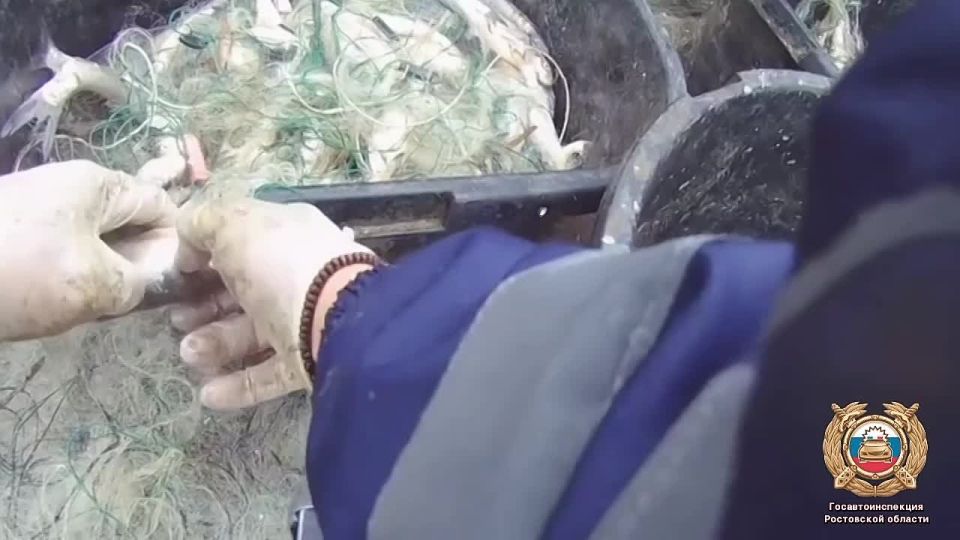 ��������� ��������� ������� ���� ��������� �� �������� ��������������