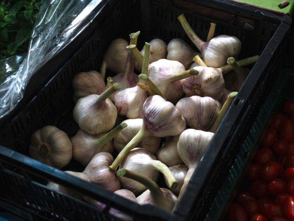 ������� ��������� ����������� �������: �����, ��� � ����� ������ �� ���������