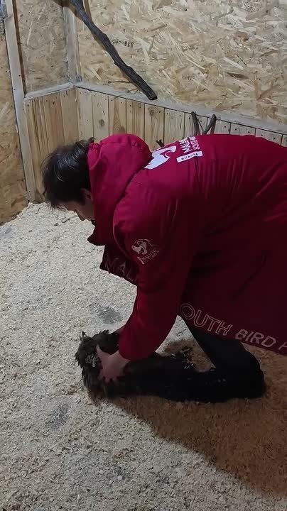 ������ ������ ������, ��������� �� ������ ��� ���������������� ��������� � ����������