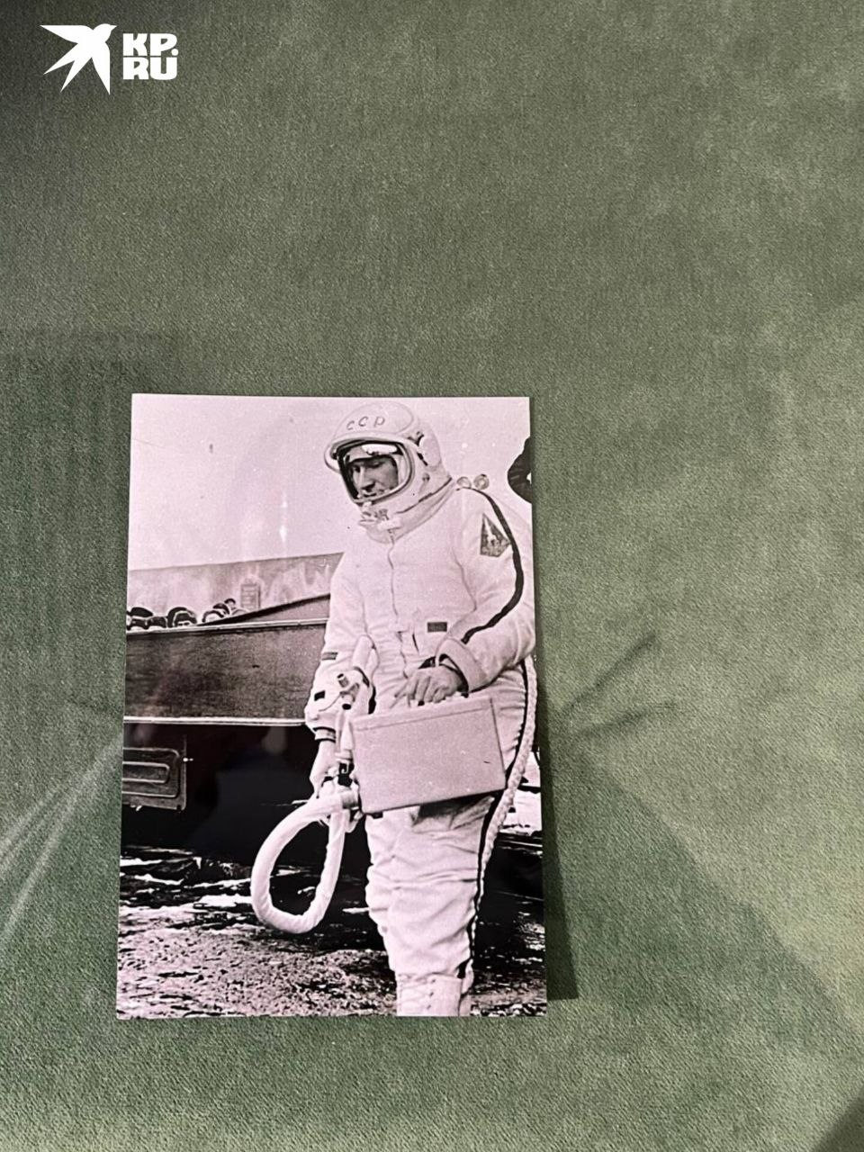 Как вырастить салат на МКС и выжить зимой при аварийной посадке, показали на космической выставке в Ростове Как вырастить салат на МКС и выжить зимой при аварийной посадке, показали на космической выставке в Ростове