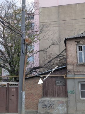 ����� ������� �� ����� ���� �� ��������������