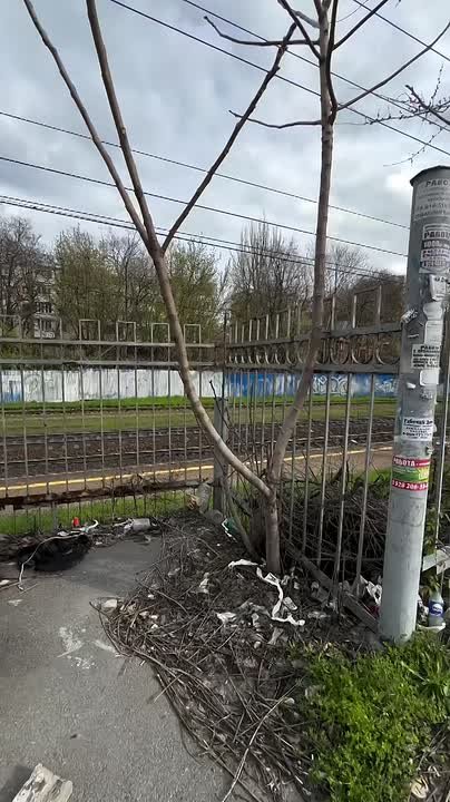 Остановка напротив «Ростсельмаша» в Ростове годами остается в запущенном состоянии