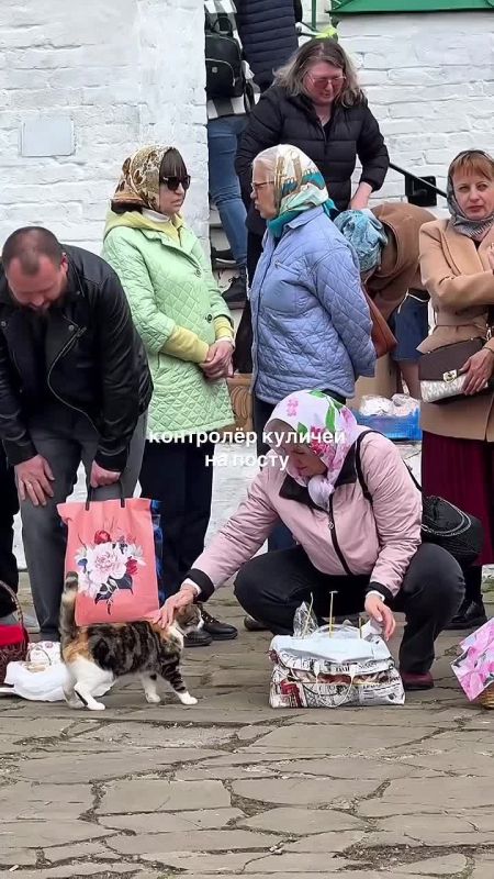 Котики тоже отмечают Пасху