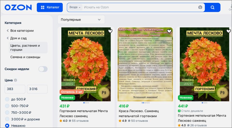 ��������� "����� �������": ���� �� ��������� ������� � ����������