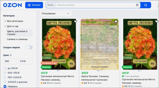 ��������� "����� �������": ���� �� ��������� ������� � ����������