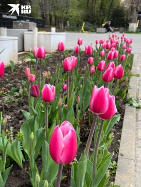 �������� �� ��������� ������� � �������� ��� ��� ������ � ��������� ���������