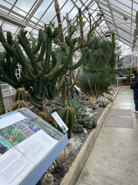 ��������� ��������� ��� �����: ��� ����������� ��� ��� � ���