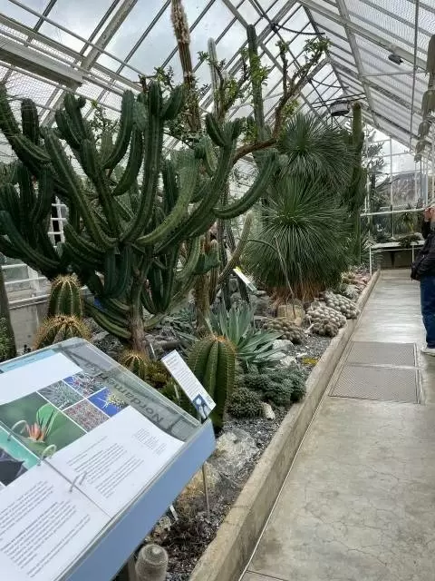 Цветочные сокровища под рукой: как преобразить ваш сад и дом