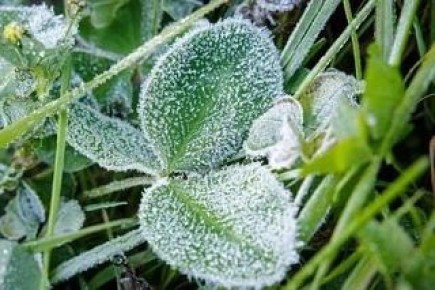 ���� 13 ������ � ������� ��������� �������� � ������������ ������, �������� ��������������� �����