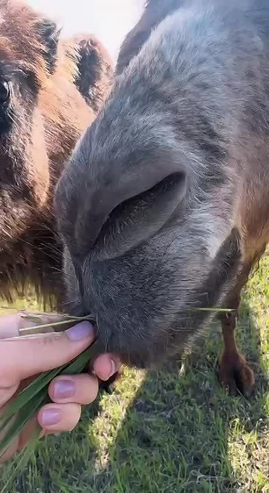 ����������� ����������: � �������� �������� ��������� ����������