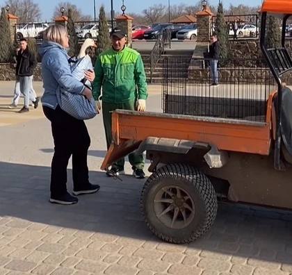 В парке «Лога» поселилась необычная гусыня В парке «Лога» поселилась необычная гусыня