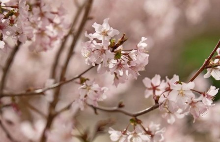 Потепление придёт в Ростовскую область на новой рабочей неделе