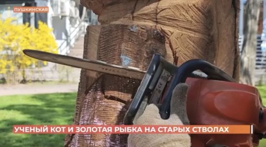 Отжившие свое деревья на Пушкинской еще послужат городу - эстетически и познавательно