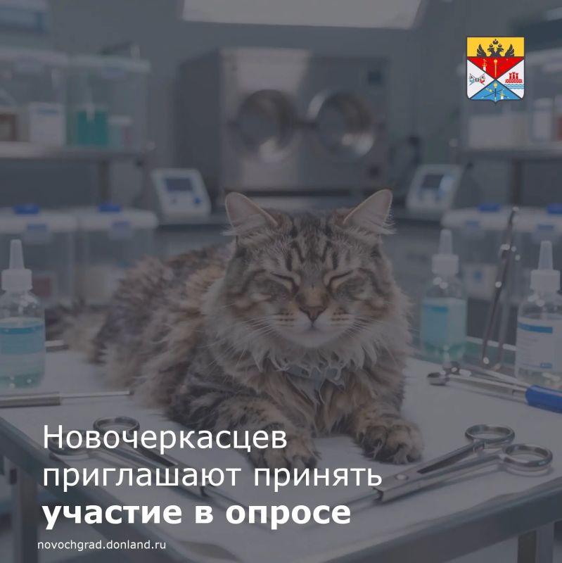 ������ ������� ������� � ������ ��������� �� ������� � ��������� � ������������ �������� ��������