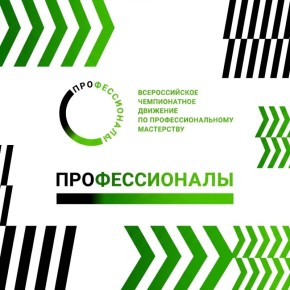 В Ростове стартовал чемпионат по профессиональному мастерству «Профессионалы»