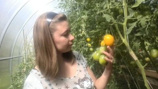 ������ ��������: ������������ ������ � ������� ��� ����� ������