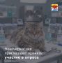Просим принять участие в опросе населения по вопросу — отношения к стерилизации домашних животных