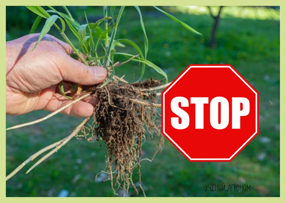 ��� �������� ����� �� ���� ������: ��������� ����������