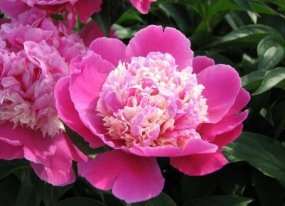 ����������� ������ ������ � ��������� �� ������: ������ ���������