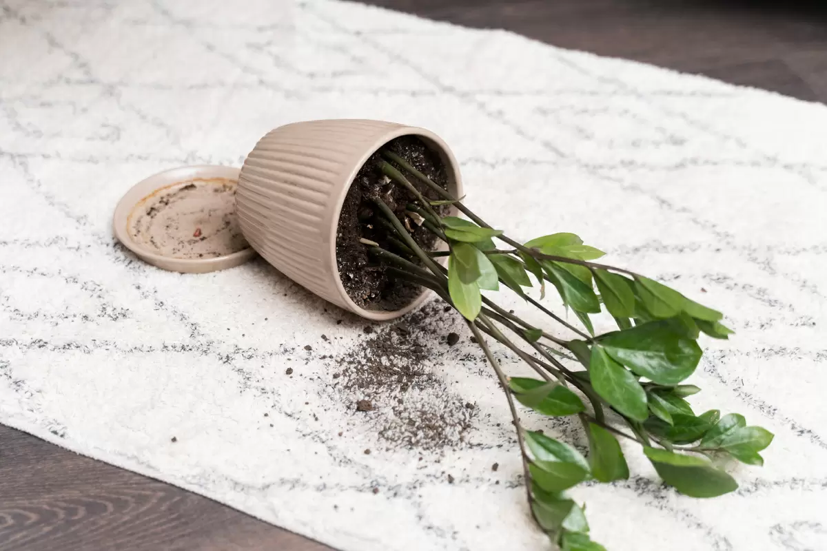 Как создать идеальный дренаж для растений из подручных материалов