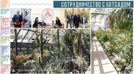 Александр Скрябин: В докладе особое внимание уделил теме благоустройства Ростова