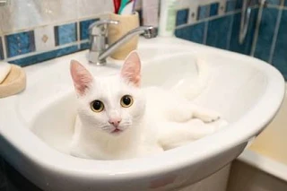 Плановые отключения горячей воды начнут в Ростове с мая