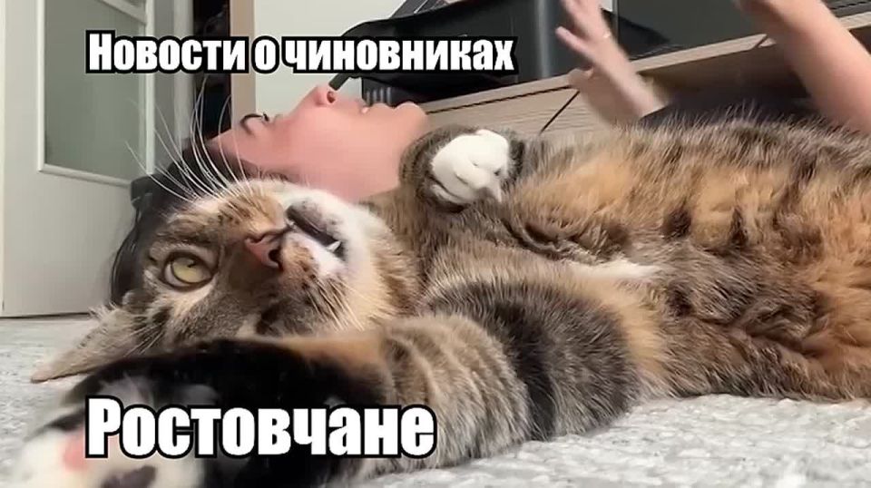 ������-����� �� ����� �� �������� ������� ���������� ��������