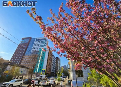 ������ 15 ������: ������� � �������, �� ��� �������