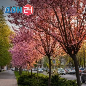 Когда потеплеет в Ростовской области?