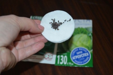 ������� �������� ������� ������������ ������� �� �������