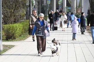 15 ������ � ������� ������� ��������� �������� ������ � ������������