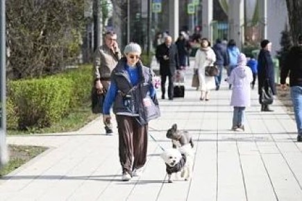 15 ������ � ������� ������� ��������� �������� ������ � ������������