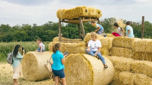 �������� ������ �� ���� ������� ����� ����� �������� �� ��� ����