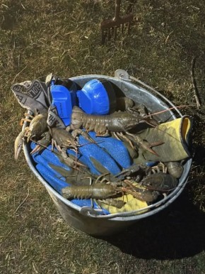 В Орловском районе задержан местный житель, который незаконно добыл более 350 раков