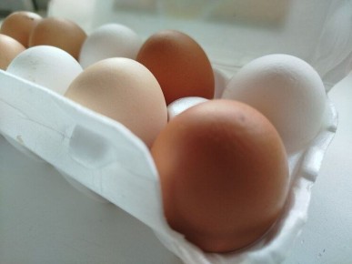 Цены на яйца и картошку в Заполярье растут на фоне нестабильности