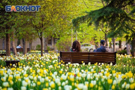 Погода 16 апреля: облачно. Температура воздуха: утром +12, днем +18, вечером +15