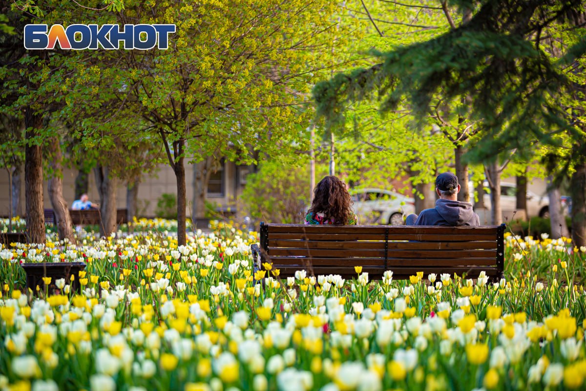 Погода 16 апреля: облачно. Температура воздуха: утром +12, днем +18, вечером +15