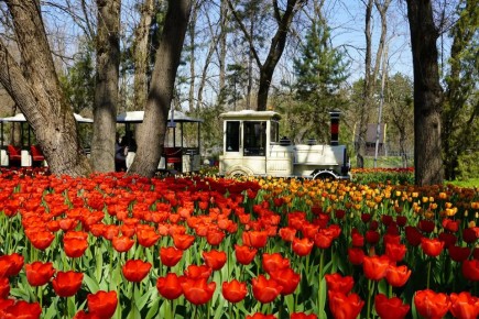 ���� �� ������ ��������� ������ � ���������� ��������