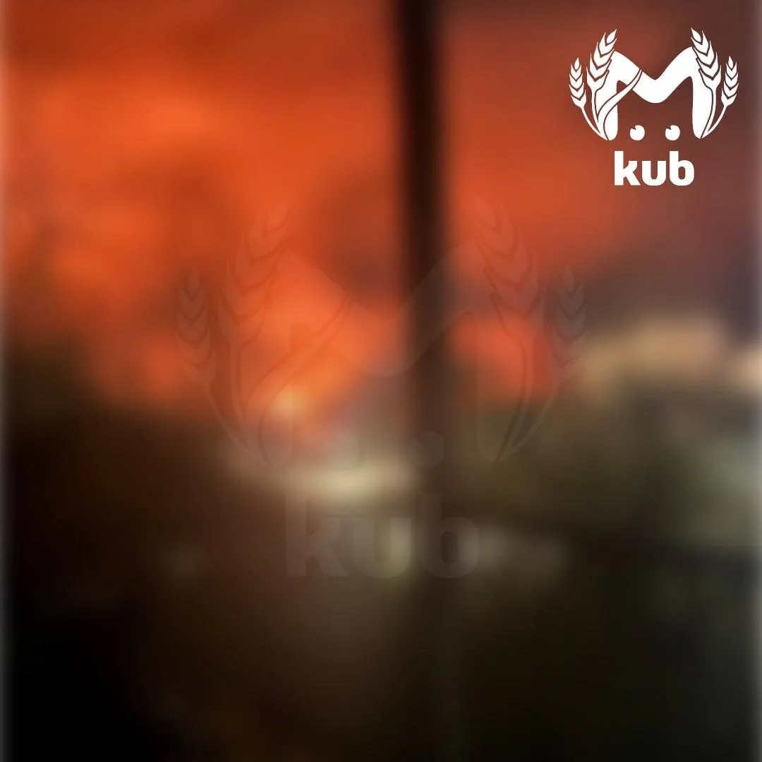 Двое детей погибли во время атаки БПЛА в Краснодарском крае