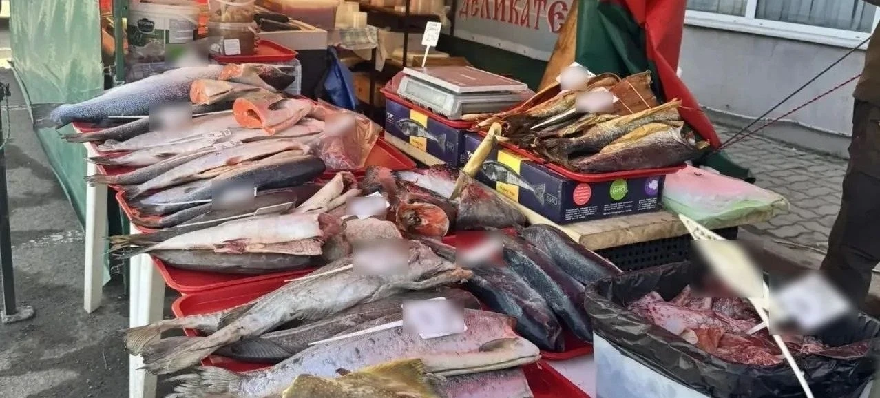 В Ростове изъяли нелегальную рыбу на 1,4 млн рублей