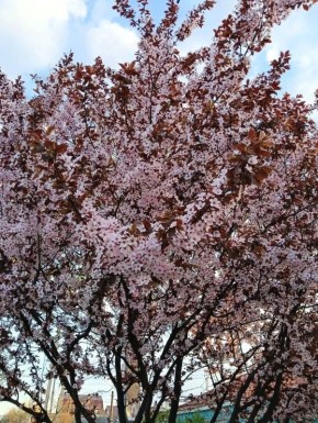 �� ������ ��������� � ��������� �����: ����� ������ ��� ������ �������?