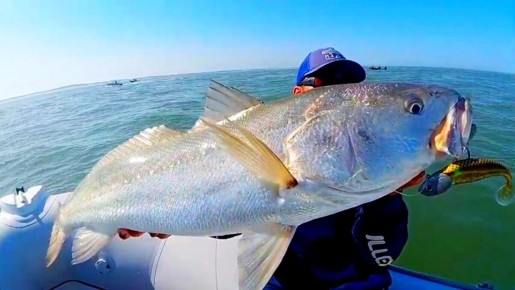 ����������� ����������� �������: ��������� ������� ������