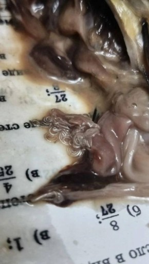 ���������� ������ ������ � ����� � �������