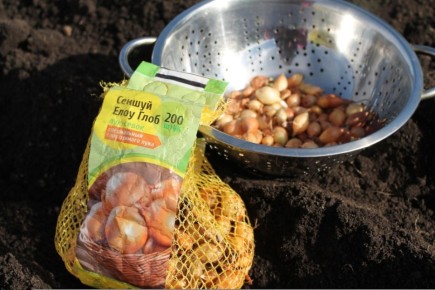 ������� ��������� ����������� ���� ������ ���� ����